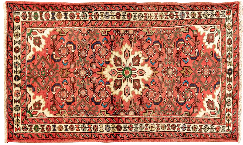 a hand-knotted Hamadan wool accent rug with intricate herati patterns